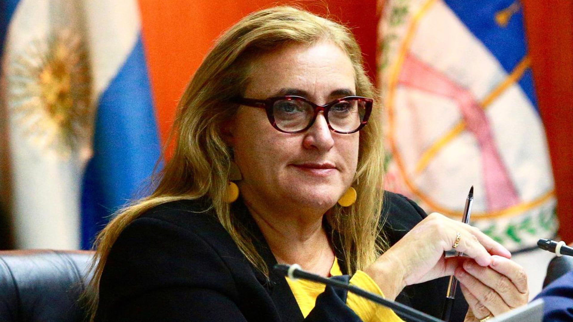 María Fernanda Vázquez, actual representante de la abogacía en el Consejo de la Magistratura, mantuvo el planteo judicial para que se defina qué régimen corresponde aplicar a una eventual nueva candidatura, luego de que Jimena de la Torre desistiera de esa presentación