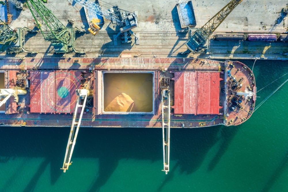 ARCA identifica específicamente restricciones de capacidad de bodega, disponibilidad de transporte y contenedores vacíos como factores capaces de alterar un embarque previamente programado (Foto: Shutterstock)