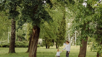 Un estudio asegura que la