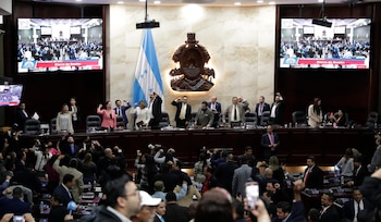 Los diputados del Congreso Nacional determinarán los controles y las garantías procesales definitivas antes de la votación del proyecto. EFE/ Gustavo Amador