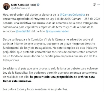 María Fernanda Carrascal, representante a