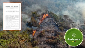 Por incendios forestales en Colombia, Ministerio de Ambiente suspende de forma temporal las quemas abiertas controladas en zonas rurales