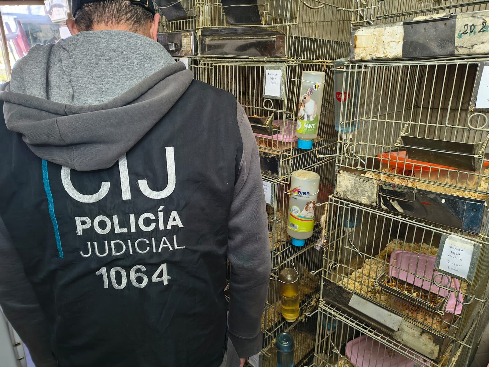 El operativo se realizó en el barrio porteño de Balvanera
