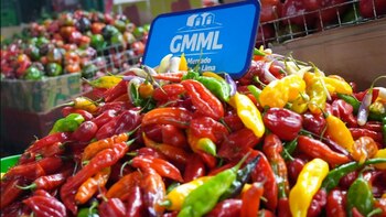 El Día Nacional de los