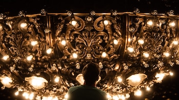 Bajaron la majestuosa araña del