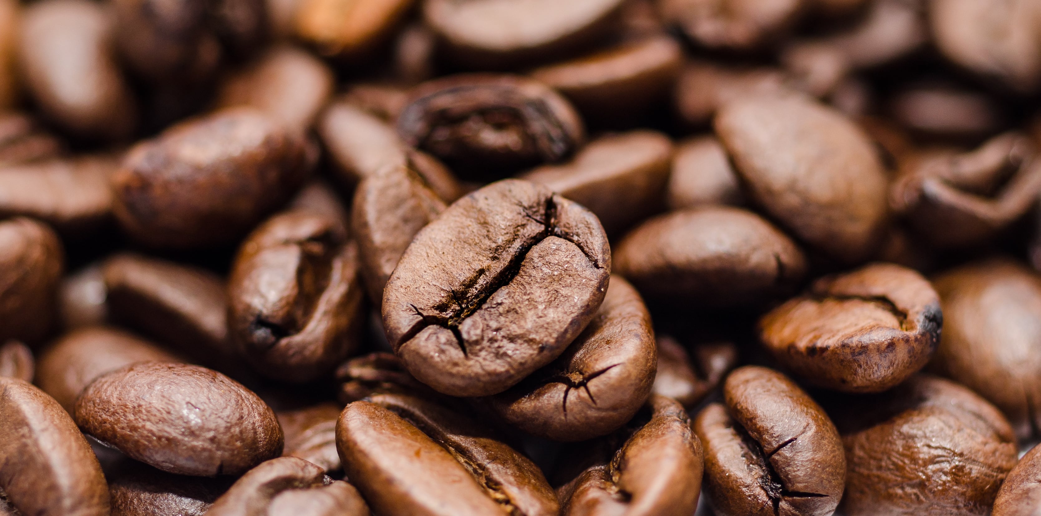 Representantes de Kahraman Dubai expresaron su interés en conocer más sobre la oferta peruana de café de especialidad y cacao, reconocidos por su calidad internacional. Foto: redBus