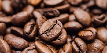 Representantes de Kahraman Dubai expresaron su interés en conocer más sobre la oferta peruana de café de especialidad y cacao, reconocidos por su calidad internacional.