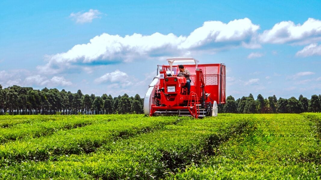 El monto ingresado por el agro el último mes quedó 26% por debajo del registrado en el mismo período de 2025 (Gobierno de Misiones)
