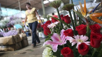 Día Nacional de las Flores: