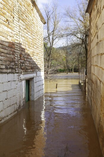 Imagen RGV7D57LPFCHHHX4OHIBBDRFCM