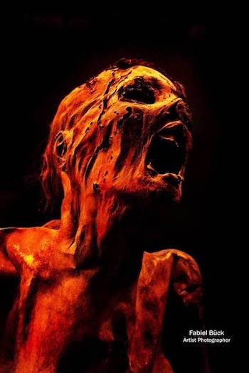 La mayoría de los cuerpos