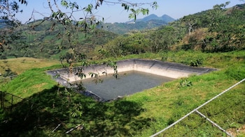 Habitantes de San Juan Ozelonacaxtla denunciaron