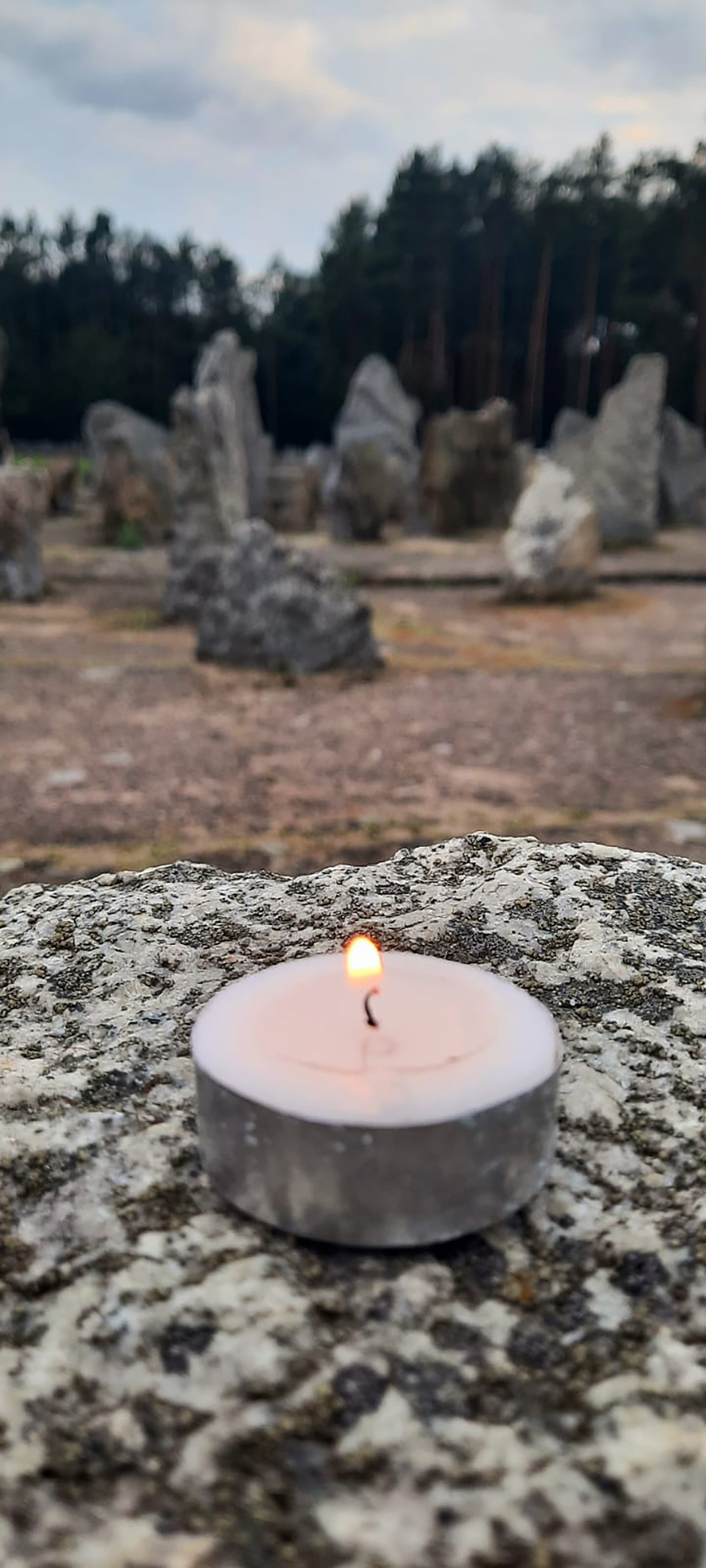 Frente a la ausencia de sobrevivientes, el viaje pedagógico busca garantizar la transmisión de la memoria colectiva a las nuevas generaciones.