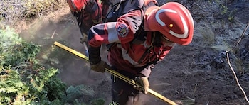 El Servicio Provincial de Manejo