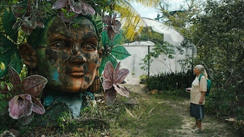 La preciosa película brasileña que