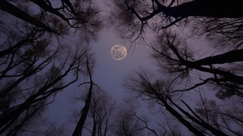 La luna muestra una parte