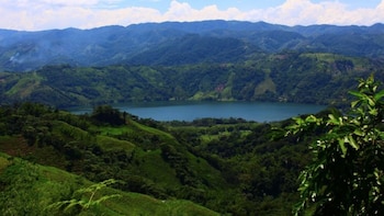 Colombia participa en la feria ornitológica Global Birdfair 2026 y reivindica su biodiversidad aviar