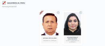 Lista de vicepresidentes en Perú 2026: estos son los acompañantes de cada candidato: Captura: ONPE.