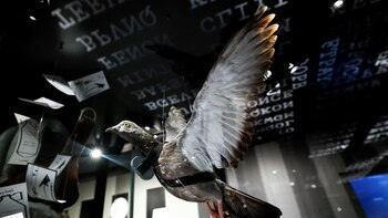 Las armas secretas más extrañas