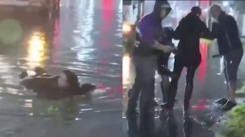 Ana Ortíz, cronista de TN