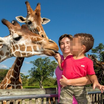 Las autoridades mejorarán sus protocolos