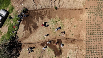 Gobierno de Guatemala presenta un estudio semidetallado sobre los suelos del departamento para respaldar el desarrollo agropecuario y forestal