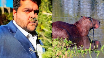 Darío Barassi, conductor de 100