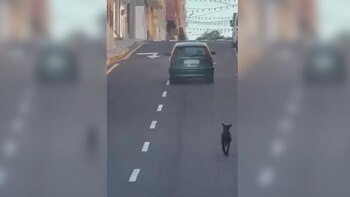 El vídeo que indigna a