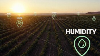 AWS y Agrow Analystics ayudan