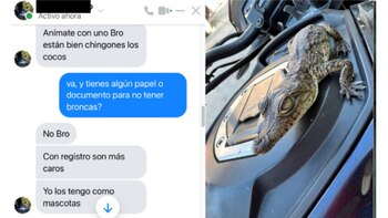 Conversación sostenida en Facebook para