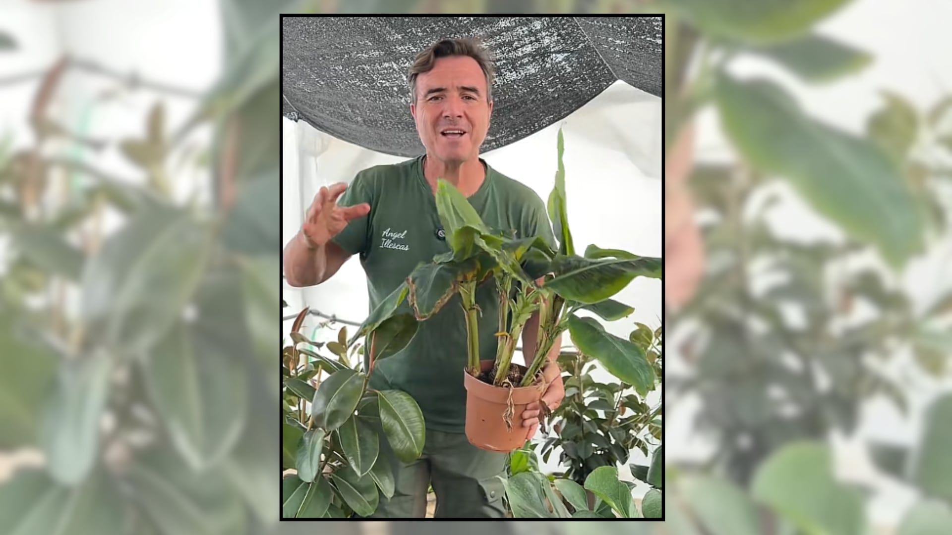 Ángel Illescas junto a una planta tropical. (Montaje Infobae)