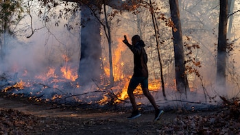 El fenómeno de El Niño podría aumentar el riesgo de incendios forestales en dos regiones de EEUU