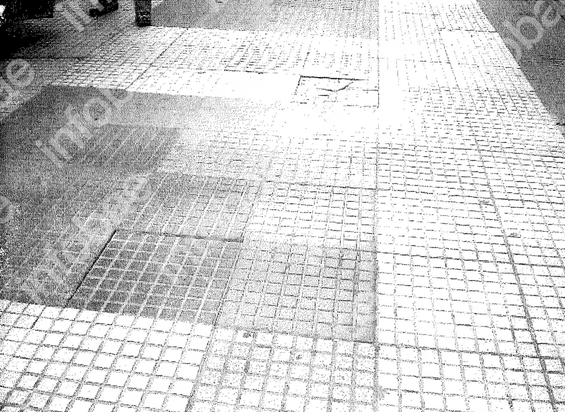 La mujer sufrió la caída el 6 de enero de 2012 al pisar una baldosa floja que se levantó en la acera frente al local gastronómico. (Poder Judicial)