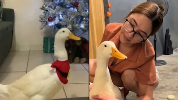 Lizeth comparte algunos de los