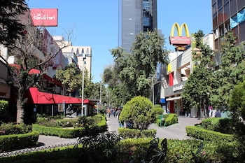 Polanco, Santa Fe y Zona