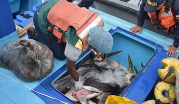 Imagen de referencia. La decisión