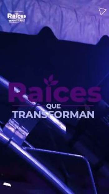 Texto en letras moradas y blancas con el lema Raíces que Transforman sobre una estructura metálica con iluminación violeta