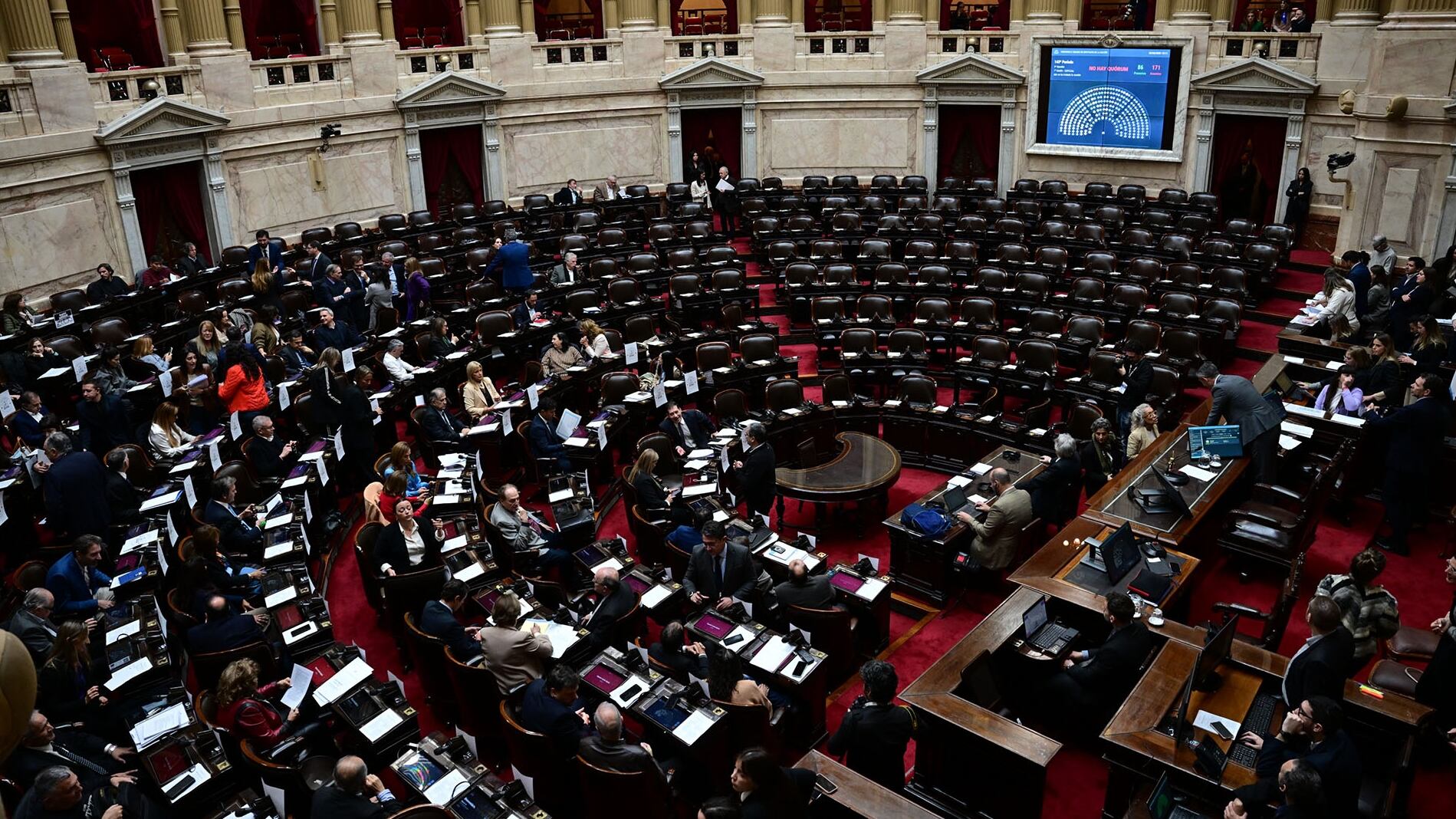 El Congreso deberá definir si respalda o no los vetos de Milei (Maximiliano Luna)