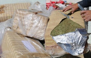 La FGR incineró más de