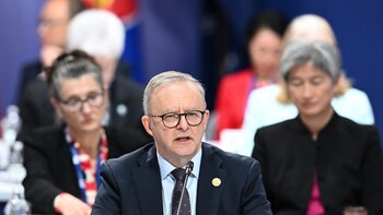Australia pide a Israel "rendir cuentas" por la muerte de humanitaria australiana en Gaza