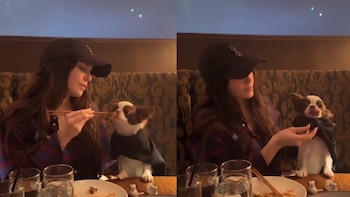 Belinda enternece con video alimentando a su perrito Popper al estilo oriental