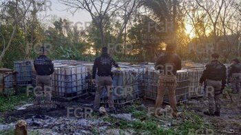 Parte del decomiso realizado por