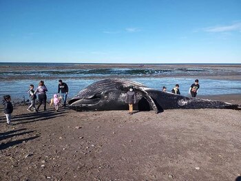 Desde el Gobierno provincial advirtieron