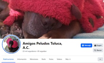 El objetivo principal de esta