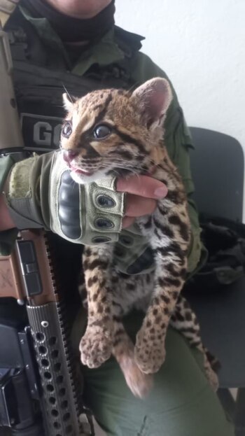 La Corporación Autónoma Regional de