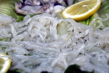 Angulas. (Tamorlan/Wikimedia Commons)