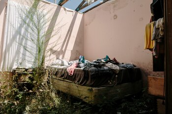 Las malezas y el moho