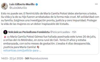 Luis Gilberto Murillo condenó el feminicidio de María Camila Potosí y exigió justicia inmediata - crédito @LuisGMurillo/X