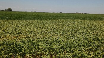 Las lluvias registradas en Santa