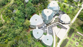 La construcción de jardines, techos